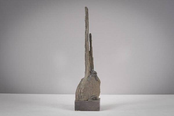 Main forte – Image 2